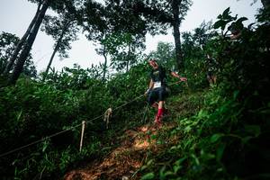 BIB: 
                            <button type="button" onclick="openModal(26201581)" class="btn btn-primary btn-sm float-right btn-popup" data-toggle="modal" data-target=".modal-high-quality">
                        <i class="fas fa-shopping-cart"></i> Add to Cart
                    </button>
                                            <button type="button" onclick="isThisMe(26201581, true)" class="btn btn-success btn-sm float-right btn-popup btn-isme hidden" data-toggle="tooltip" data-placement="bottom" title="นี่คือรูปของคุณใช่ไหม คลิกที่นี่เพื่อเอาเข้าอัลบั้ม">
                        <i class="fas fa-plus"></i> Add to album
                    </button>
                    <button type="button" onclick="isThisMe(26201581, false)" class="btn btn-warning btn-sm float-right btn-popup btn-isnotme hidden">
                        <i class="fas fa-ban"></i> Remove from album
                    </button>